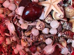 -北海金海湾红树林生态旅游区