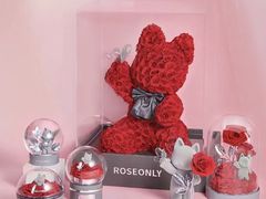 -ROSEONLY诺誓(广州K11店)