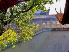 -深圳仙湖植物园