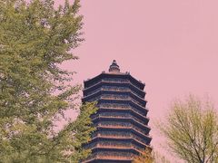 -玲珑塔公园