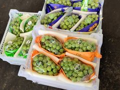 -西郊国际农产品交易中心