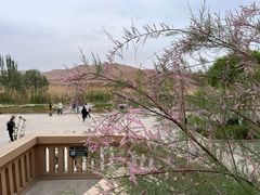-库木塔格沙漠
