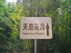 -广州市石门国家森林公园