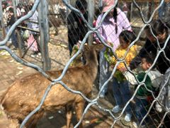 -长白岛森林公园