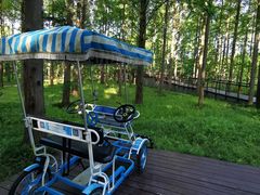 -黄海国家森林公园