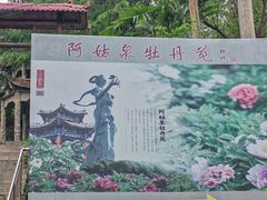 -盛世牡丹苑生态文化旅游区