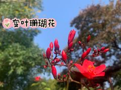 -四海公园(南山区)
