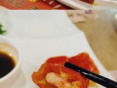 -点都德(北京路贰店)