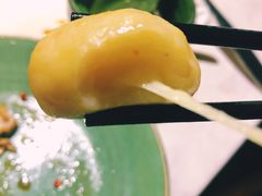 芝士丸-狐狸爱上椰子鸡(滨江星光大道店)