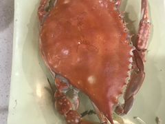 -大锅强·蒸海鲜青岛菜(吾悦广场店)