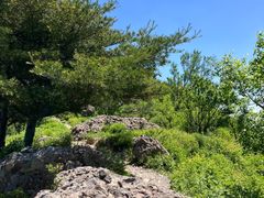 -阳台山自然风景区