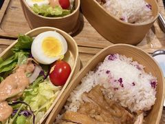 -猫小院猫主题咖啡厅(北锣店)