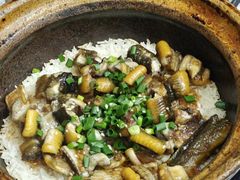 -红星光发煲仔饭(大石街店)