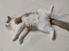 -龙湖重庆时代天街