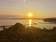 -上海市保健医疗中心