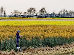 -中国天府农业博览园