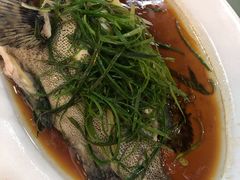 -美居大酒楼(美居广场店)