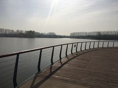-东郊湿地公园