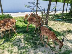 -林栖谷森林康养度假区
