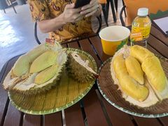 -榴莲BB 四季果园