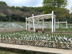 -牛岗山公园