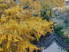 -青岛崂山太清宫