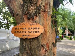 -西双版纳傣族园