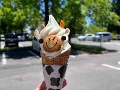 -神户市立六甲山牧场