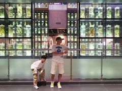 -广东中医药博物馆