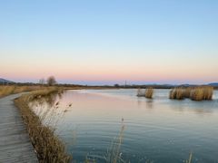-野鸭湖国家湿地公园