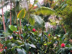 -北京植物园-展览温室