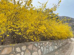 -北京西山国家森林公园