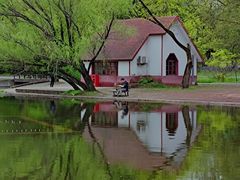 -上海共青森林公园