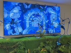 -深圳龙华星河COCO City(民治店)