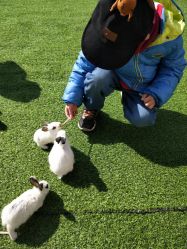 -萌宠亲子动物乐园(槐房万达店)