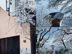 -梵净山旅游区