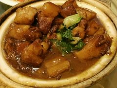 -丁老爷子苏香圆