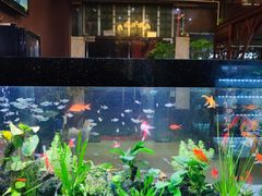 -贵州人家·酸汤火锅·20年老字号