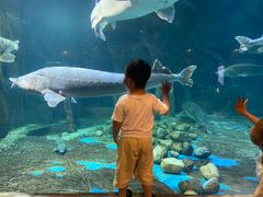 -华夏文旅海洋公园