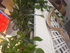 -盱眙虾怪·旗舰店