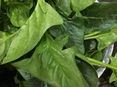 -老北京热气涮羊肉·小龙虾·烤鱼(呼玛路店)