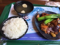 -雨林餐厅(长隆海洋王国店)