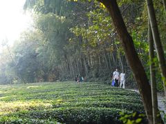 -敬亭山风景名胜区