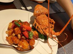 -采悦轩中餐厅·粤菜·海南菜(神州半岛喜来登度假酒店)