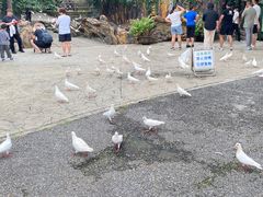 -燕塞湖鸟语林景区