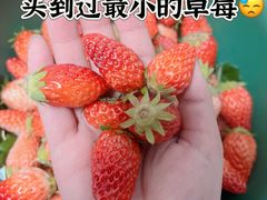 -西北农副产品中心批发市场(广安路店)