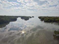 -北海金海湾红树林生态旅游区