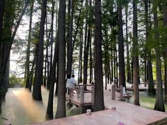-东湖落雁景区