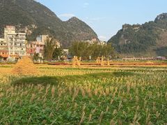 -靖西鹅泉风景区