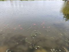 -前关湿地公园